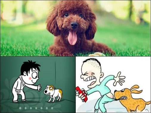 Mơ thấy chó cắn đánh con gì hôm nay chuẩn nhất?