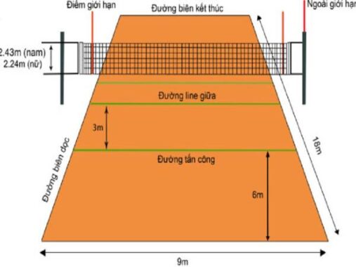 Chiều cao lưới bóng chuyền đạt chuẩn thi đấu quốc tế