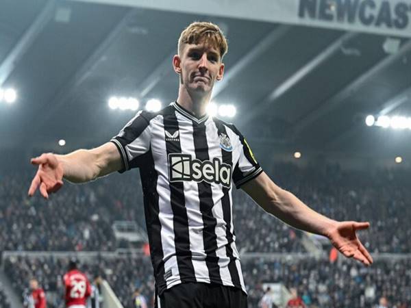 Tin thể thao 5/12: Sao Newcastle khiến Ferdinand hối hận