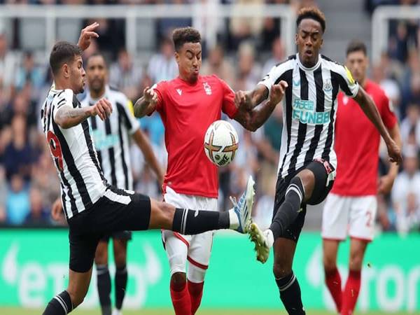 Dự đoán trận đấu Nottingham vs Newcastle (2h00 ngày 29/8)