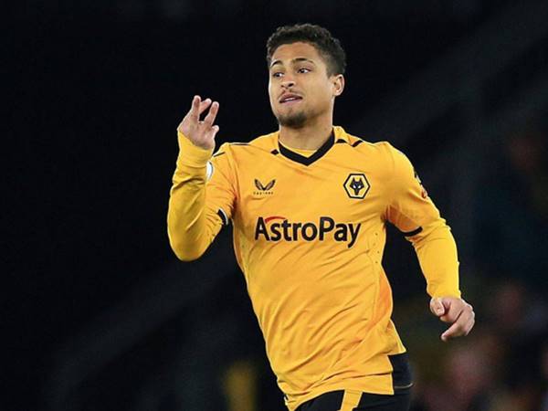 Hành trình phát triển của Joao Gomes Hành trình phát triển của Joao Gomes