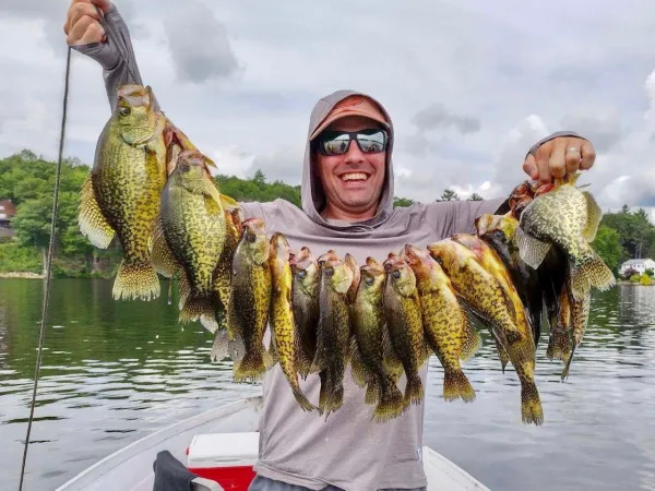 Giải mã nằm mơ thấy bắt được nhiều cá, tốt hay xấu?