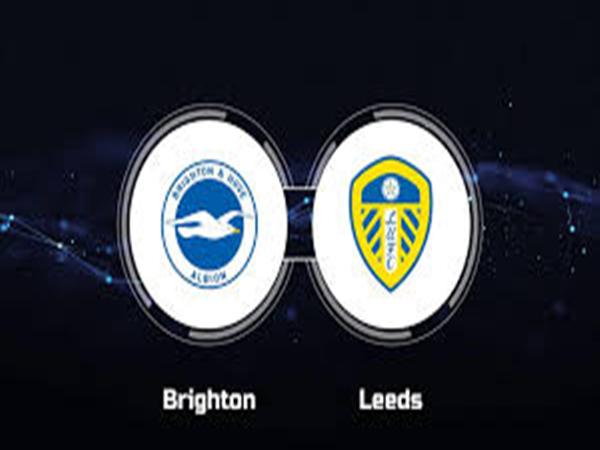 Dự đoán trận đấu, nhận định Leeds Utd vs Brighton ngày 17/5